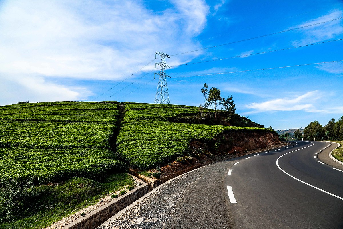 Rutsiro Feeder Roads Study